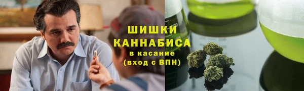 СК Гусиноозёрск