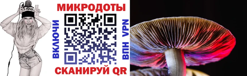 Псилоцибиновые грибы ЛСД  где купить наркоту  Донской 