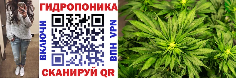Шишки марихуана VHQ  где купить наркотик  omg вход  Донской 